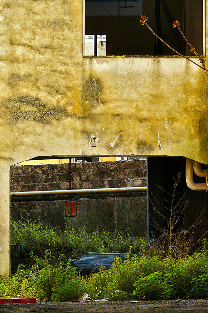 Percezioni - Scatto G03
